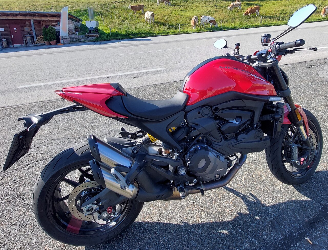 Ducati Monster